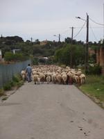 Gott sei Dank nicht unser Weg, das hätte dauern können!