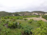 Fahrt durch´s Grüne