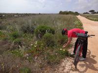 Interessant diese Blumen!