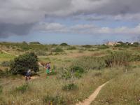 Entlang der Steilküste...