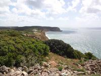 Grüne Landschaft an der ganzen Algarve im Frühjahr