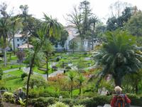 Botanischer Garten Terceira
