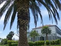 Stadtrundgang in Horta