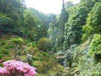 Naturpark in Nordeste