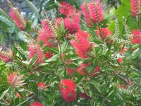 Naturpark in Nordeste