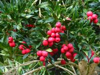 Naturpark in Nordeste