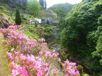 Naturpark in Nordeste