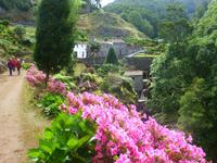 Naturpark in Nordeste