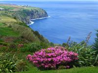 Naturpark in Nordeste