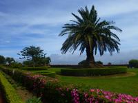 Naturpark in Nordeste