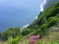 Naturpark in Nordeste