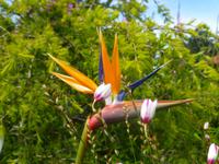 Naturpark in Nordeste