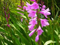 Naturpark in Nordeste