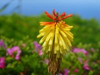 Naturpark in Nordeste