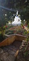 98 Botanischer Garten in Funchal