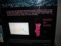 Führung und Kostprobe des Portweins in der Weinkellerei Cálem