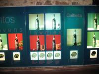 Führung und Kostprobe des Portweins in der Weinkellerei Cálem