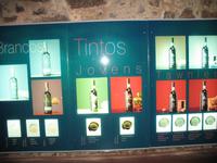 Führung und Kostprobe des Portweins in der Weinkellerei Cálem