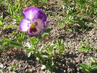 Wallfahrtsortes Bom Jesus