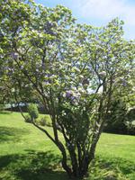 Stadtrundgang in Guimaraes