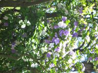 Stadtrundgang in Guimaraes