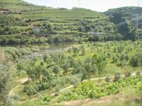 Zugfahrt von Peso da Régua nach Pinhão