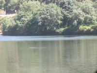 Zugfahrt von Peso da Régua nach Pinhão