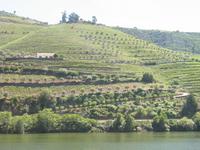 Zugfahrt von Peso da Régua nach Pinhão