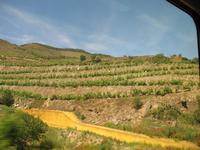 Zugfahrt von Peso da Régua nach Pinhão