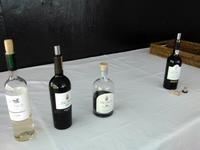 Portweinverkostung in Pinhão