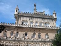 Besuch des Nationalparks Parque Nácional do Buçaco 