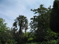 Besuch des Nationalparks Parque Nácional do Buçaco 