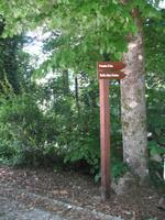 Parque de Merendas da Mata do Buçaco