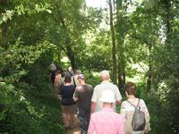 Parque de Merendas da Mata do Buçaco