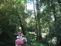 Parque de Merendas da Mata do Buçaco