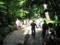 Parque de Merendas da Mata do Buçaco