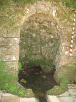 Parque de Merendas da Mata do Buçaco