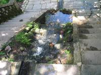 Parque de Merendas da Mata do Buçaco