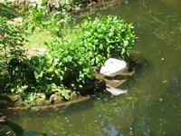 Parque de Merendas da Mata do Buçaco