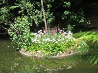 Parque de Merendas da Mata do Buçaco