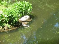 Parque de Merendas da Mata do Buçaco