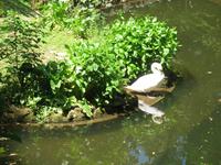 Parque de Merendas da Mata do Buçaco