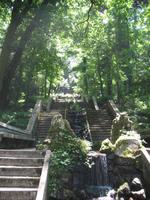 Parque de Merendas da Mata do Buçaco