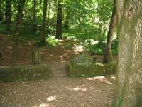 Parque de Merendas da Mata do Buçaco