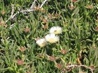 Besuch von Cabo da Roca