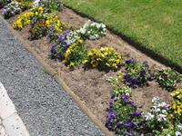 Stadtrundgang in Cascais