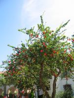 Stadtrundgang in Évora