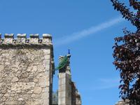 Stadtrundgang in Évora