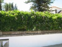 Stadtrundgang in Évora