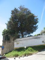 Stadtrundgang in Évora